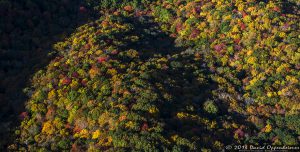 Autumn Colors at Craggy Gardens along the Blue Ridge Parkway