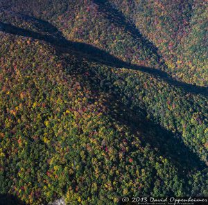 Autumn Colors at Craggy Gardens along the Blue Ridge Parkway