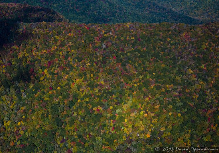 Autumn Colors at Craggy Gardens along the Blue Ridge Parkway