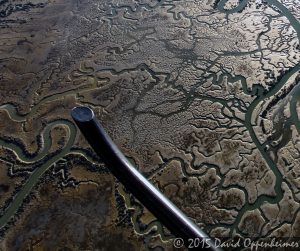 Coastal Stream Geomorphologic Fractal Drainage Basin 