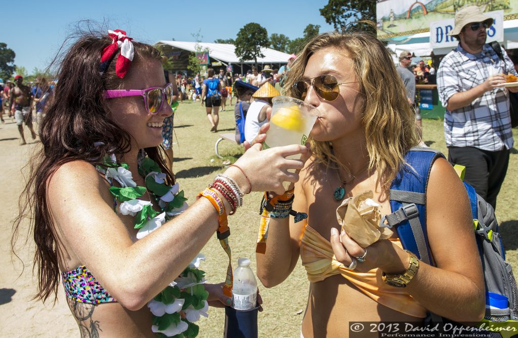 Bonnaroo Crowd Photos