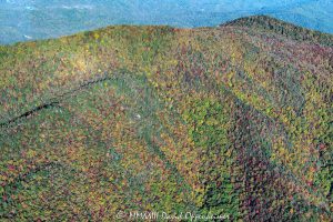 Dobson Knob Mountain Lit with Autumn Colors in the Mountains of Western North Carolina