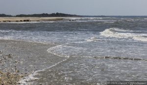 Edisto Island Beach Vacation Edisto Beach Botany Bay Shell Island 0144 2