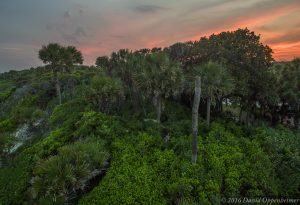 Edisto Beach State Park Aerial Photo on Edisto Island Edisto Beach State Park 29 2