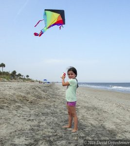 Edisto Beach State Park on Edisto Island Edisto Beach State Park kite flying 180 2
