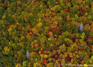 Nantahala National Forest Fall Colors