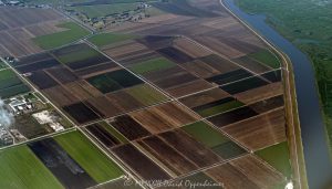 Farmland in Belle Glade, Florida Aerial View