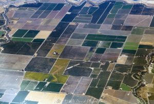 Farmland in San Joaquin County, California Aerial View Farmland in San Joaquin County, California aerial view - © 2024 David Oppenheimer - Performance Impressions aerial photography archives - https://performanceimpressions.com farmland, farms, farmland aerial, farming, agriculture, agribusiness, crops, pastures, grid, squares, rectangles, fields, farmers, cultivation, irrigation, Central Valley, The Central Valley, Central Valley aerial, delta, river delta, San Joaquin County, San Joaquin, water, water supply, color, real estate, aerial, aerial view, aerial photography, aerial photographer, David Oppenheimer, United States, 1-13985601741,