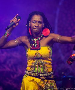 Fatoumata Diawara