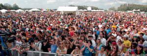 Festival Crowd Photo from Stage View