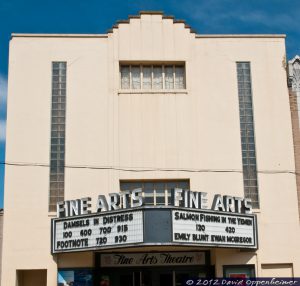 Fine Arts Theatre - Asheville