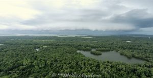 Fish Island Sea Pines Forest Preserve on Hilton Head Island with Shelf Cloud Aerial View Fish Island Sea Pines Forest Preserve with Lake Mary, Rookery Island, Rookery Point, and Fisherman’s Point on Hilton Head Island in South Carolina with a shelf cloud storm on the horizon aerial view - © 2024 David Oppenheimer - Performance Impressions aerial photography archives - https://performanceimpressions.com Fish Island Sea Pines Forest Preserve, Sea Pines Forest Preserve, Sea Pines Plantation, Sea Pines Plantation aerial, Fish Island Sea Pines Forest Preserve aerial, Fish Island Hilton Head, Hilton Head Island, forest, coastal forest, preserve, Lake Mary, lake, Rookery Island, Rookery Point, Fisherman’s Point, ante-bellum, ante-bellum rice dikes, forest preserve, Sea Pines, swamp, trees, Vanishing Swamp, White Ibis Swamp, ecosystem, Lake Joe, Fish Island, habitat, wildlife habitat, ecology, nature, wetlands, fresh water, coastal, Indian Shell Ring, Rice Field Boardwalk, 29928, real estate, Hilton Head aerial, Hilton Head Island aerial, storm, weather, shelf cloud, cloud, clouds, storm, storm clouds, front, thunderclouds, thunderstorm, nephology, weather front, meteorology, community, aerial photographer, aerial photography, landscape, panorama, naturescape, aerial view, aerial, David Oppenheimer, David Gordon Oppenheimer, United States, color, horizontal, landscape, 1-13726821381