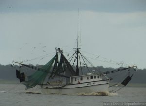 Fishing Boat in Georgetown Harbor Along Winyah Bay