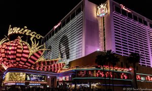 Flamingo Las Vegas Hotel & Casino in Las Vegas, Nevada
