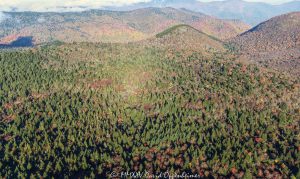 Flat Laurel Creek Little Sams Knob Shining Rock Wilderness Pisgah National Forest aerial view 7267