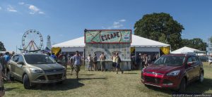 Bonnaroo Girls and Festival Crowd Photos