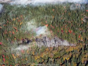Fork Ridge cliffs Middle Prong Wilderness Shining Rock Wilderness WNC aerial view 7338