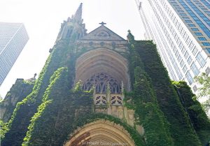 Fourth Presbyterian Church of Chicago on the Magnificent Mile Fourth Presbyterian Church of Chicago at 126 East Chestnut Street rises on the Magnificent Mile with ivy-covered limestone, pointed arches, a tower, carved Gothic tracery, and a cross above the historic sanctuary entrance. Designed by Ralph Adams Cram, the English and French Gothic Revival church was dedicated in 1914 and remains one of North Michigan Avenue’s defining landmarks in Chicago, Illinois – © 2026 David Oppenheimer – Performance Impressions photography archives https://performanceimpressions.com Fourth Presbyterian Church, Fourth Presbyterian Church of Chicago, Fourth Church Chicago, Fourth Church, 126 East Chestnut Street, 126 E Chestnut Street, East Chestnut Street, Chestnut Street, North Michigan Avenue, Michigan Avenue, Magnificent Mile, Mag Mile, Near North Side, Streeterville, downtown Chicago, Chicago, Chicago Illinois, Chicago IL, Illinois, 60611, facade, building exterior, exterior, church exterior, sanctuary exterior, limestone facade, stone facade, stonework, masonry, Bedford limestone, ivy covered, ivy, vines, Gothic Revival, Gothic Revival architecture, English Gothic, French Gothic, Gothic architecture, Gothic church, historic architecture, landmark architecture, church architecture, religious architecture, Chicago architecture, architecture, architectural photography, vertical architecture, church, historic church, Presbyterian church, Presbyterian, sanctuary, tower, church tower, bell tower, spire, cross, Christian cross, stone cross, quatrefoil, trefoil, quatrefoil cross, trefoil cross, tracery, Gothic tracery, carved tracery, pointed arches, Gothic arches, arch, arches, arched entrance, carved stone, carved tympanum, tympanum, doorway, entrance, historic doorway, Michigan Avenue entrance, courtyard, cloister, parish house, Gratz Center, Chicago Landmark, National Register of Historic Places, Old Water Tower District, Great Chicago Fire, Chicago history, Ralph Adams Cram, Howard Van Doren Shaw, Charles J Connick, Frederick Clay Bartlett, Presbyterian Church USA, PCUSA, religion, worship, faith, congregation, tourism, travel, destination, landmark, historic, building, United States, licensing, image licensing, commercial imagery, photography licensing, art, print, fine art, commercial photography, David Oppenheimer, horizontal, 1-15213827141