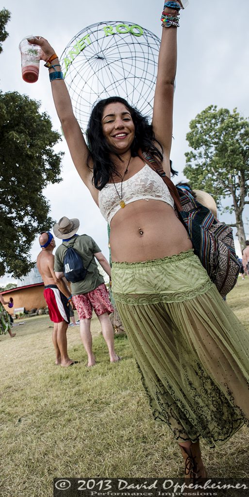 Bonnaroo Crowd Photos