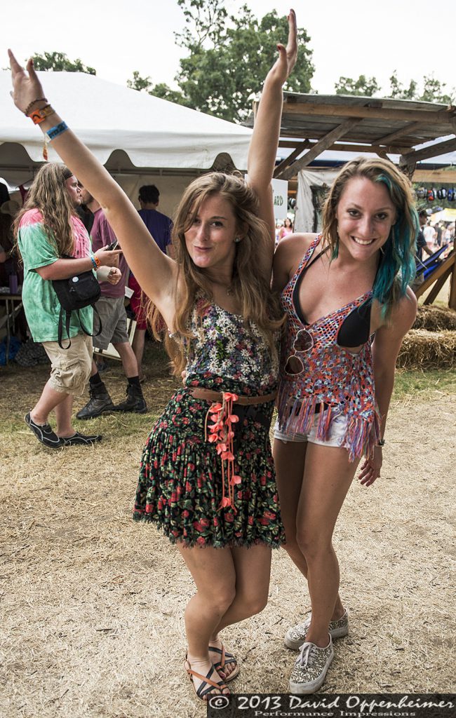 Bonnaroo Crowd Photos