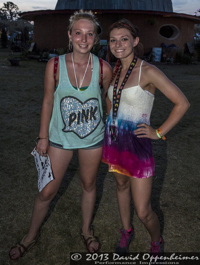 Bonnaroo Crowd Photos