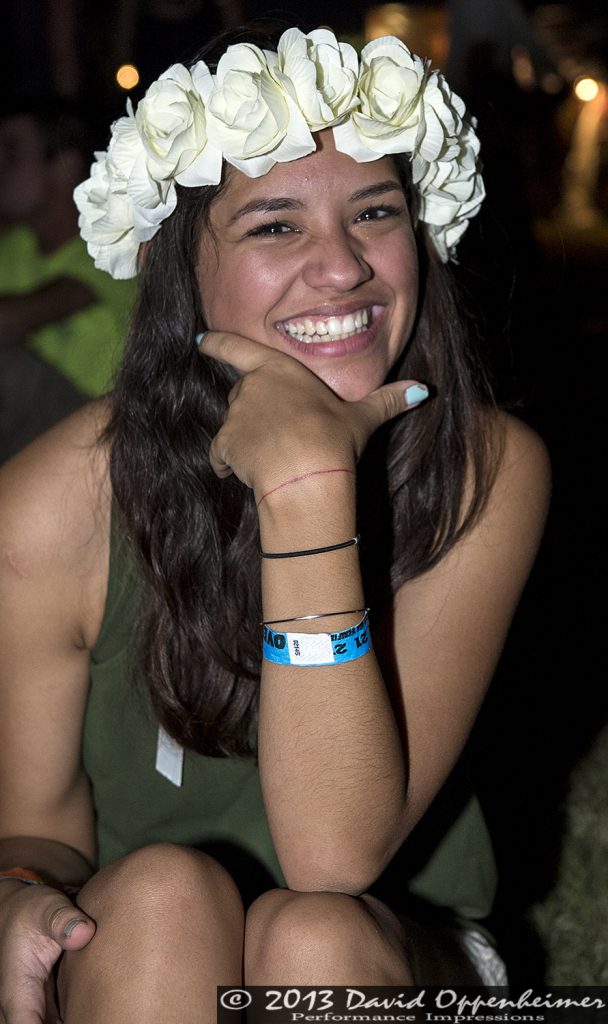Bonnaroo Crowd Photos