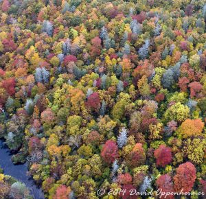Nantahala National Forest Fall Colors Aerial Photo