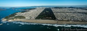Golden Gate Park in San Francisco Aerial Photo