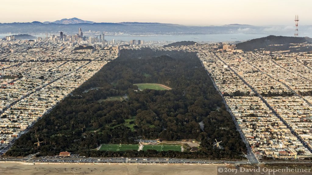 Golden Gate Park in San Francisco Aerial Photo