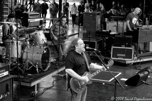 Gov't Mule