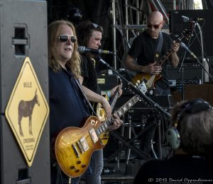 Gov't Mule at Bonnaroo