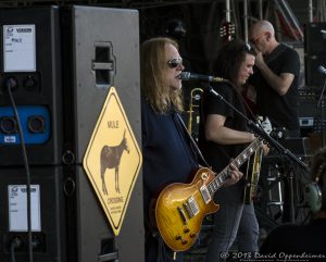 Gov't Mule at Bonnaroo