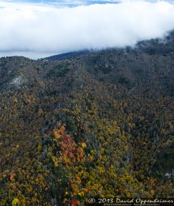 Grandfather Mountain State Park Autumn Colors