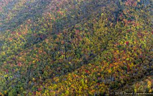 Grandfather Mountain State Park Autumn Colors