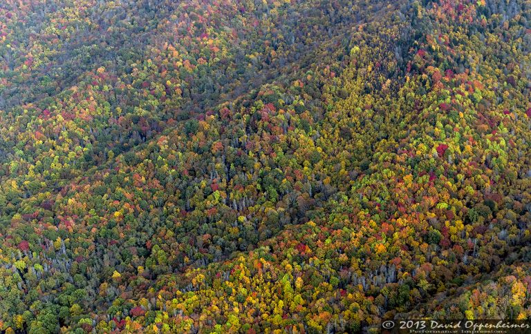 Grandfather Mountain State Park Autumn Colors