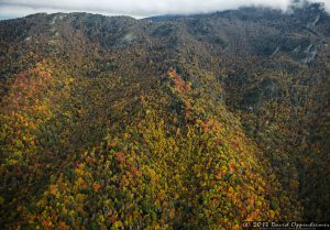 Grandfather Mountain State Park Autumn Colors