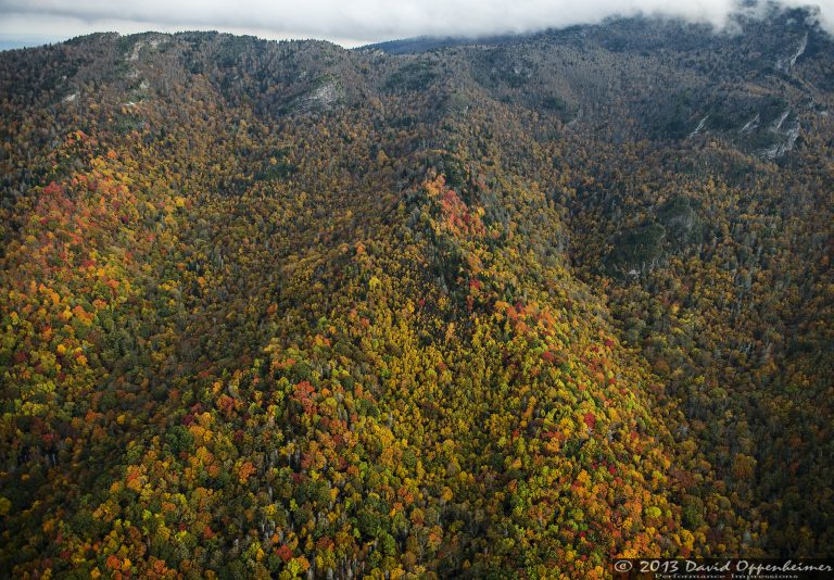 Grandfather Mountain State Park Autumn Colors
