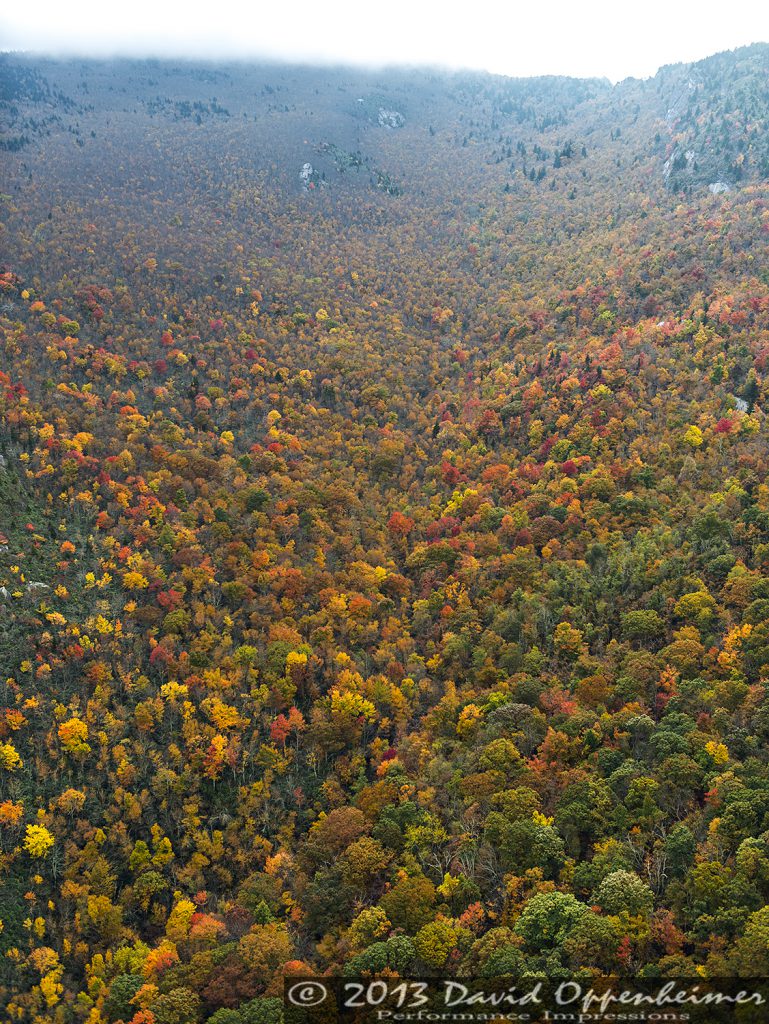 Grandfather Mountain State Park Autumn Colors