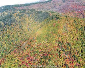 Graveyard Fields 418 420 Blue Ridge Parkway autumn colors Fork River Ridge aerial view 7102