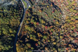Graveyard Fields 418 420 Blue Ridge Parkway autumn colors mountains aerial view 7204