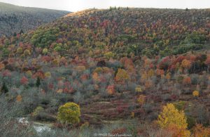 Graveyard Fields Blue Ridge Parkway Autumn colors 7674 scaled