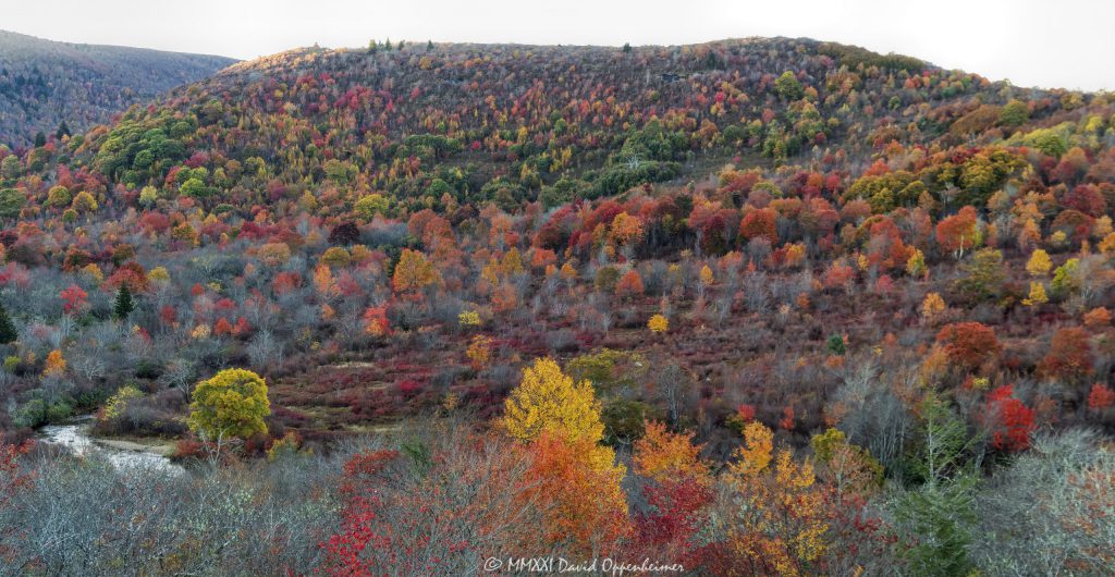 Graveyard Fields Blue Ridge Parkway Autumn colors 7680 scaled