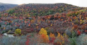 Graveyard Fields Blue Ridge Parkway Autumn colors 7680 scaled