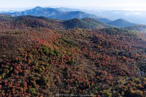 Graveyard Ridge Blue Ridge Parkway autum aerial view 7150