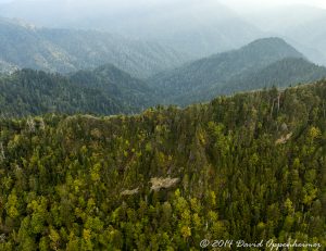 Great Smoky Mountains National Park Aerial Photo