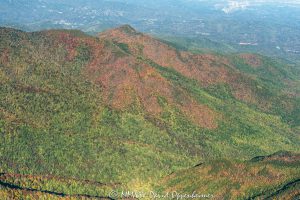 Great Smoky Mountains National Park Brushy Mountain Gatlinburg Pigeon Forge aerial autumn 7773