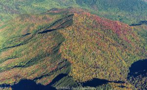 Great Smoky Mountains National Park Porters Mountain TN autumn colors aerial view 7770