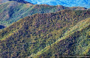 Great Smoky Mountains National Park Aerial Photo