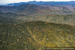 Great Smoky Mountains National Park Aerial Photo