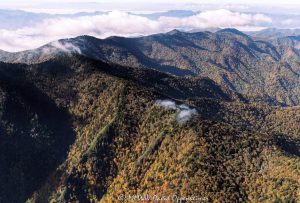 Great Smoky Mountains National Park aerial view 7935